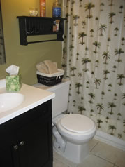 Basement Bathroom